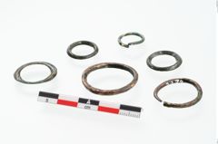 Foto von Bronzering (NHMW-PRAE-002279)